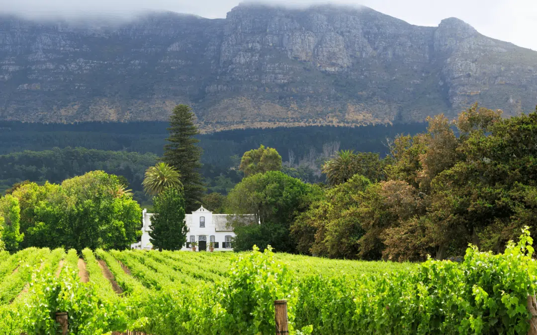 Opportunities for Impact Investors in the Distressed Property Market of South Africa in 2023
