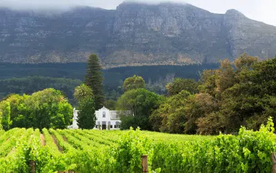 Opportunities for Impact Investors in the Distressed Property Market of South Africa in 2023