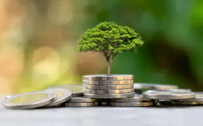 The Positive Role of Property Impact Investment in SA 2023